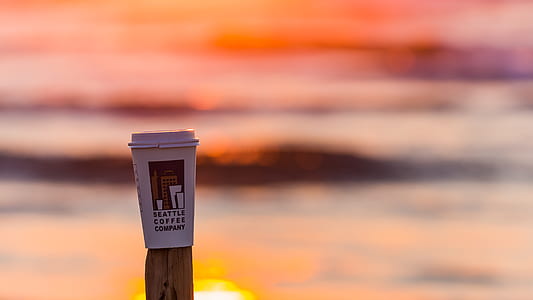 selective focus photography of white Seattle coffee company solo cup on brown wooden plank during golden hour thumbnail