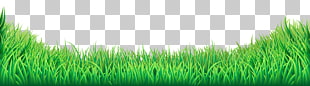 Lawn , Grass Transparent , green grass PNG clipart