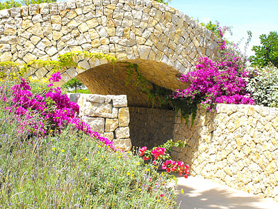 empty pathway beside bougainvillea flowers thumbnail