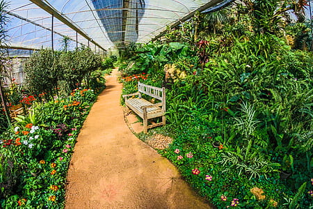 Greenhouse Garden thumbnail