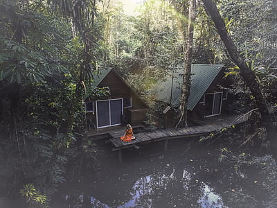 brown and green wooden house near water under tree during daytime photo thumbnail
