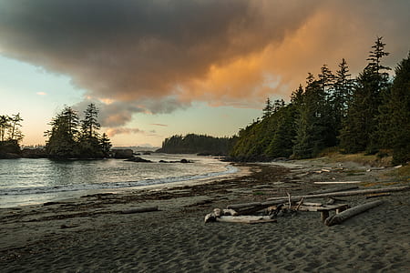 photo of boat near shoreline thumbnail