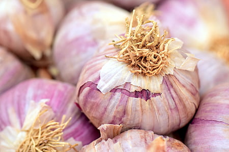 onion bulb thumbnail