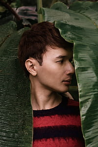 man behind banana leafs thumbnail