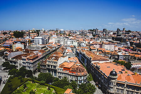 aerial photo of city buildings thumbnail