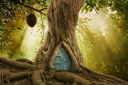 brown tree with house and beehive during golden hour thumbnail