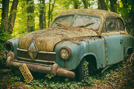 blue classic car surrounded by plants thumbnail