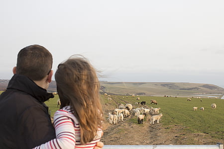 man and woman facing towards animals on field thumbnail