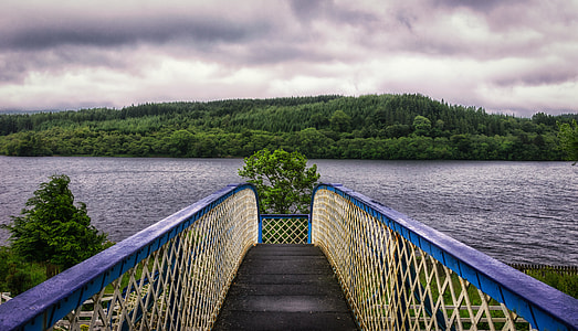 black and blue dock near body of water under cloudy sky during daytimne thumbnail