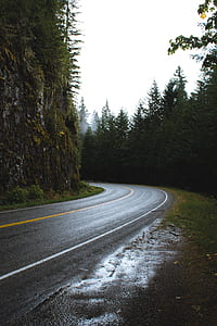 black concrete road between green high trees under white sky at daytime thumbnail