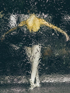 foggy window with ballerina painting thumbnail