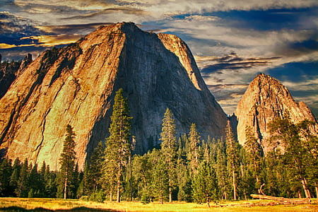 landscape photography of green leafed trees thumbnail