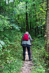 man with dog walking across the forest during daytime thumbnail