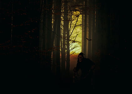 man wearing hoodie in the middle of forest thumbnail