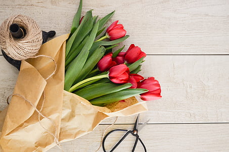 bouquet of red tulips thumbnail