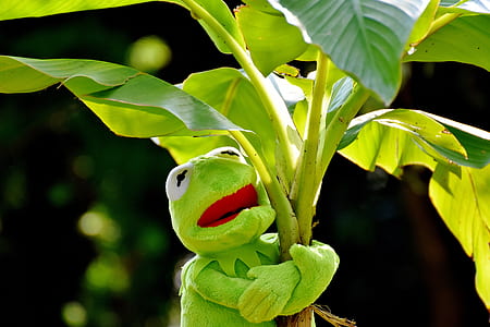 frog plush toy on banana tree thumbnail