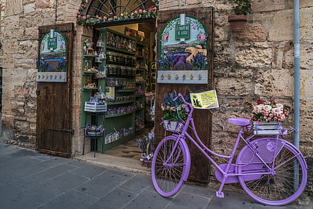 road, wheel, city, tourism, music, herbs thumbnail