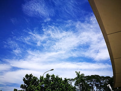 sky, clouds, trees, leaves thumbnail