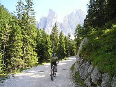 man riding on bike on road surrounded by treest thumbnail