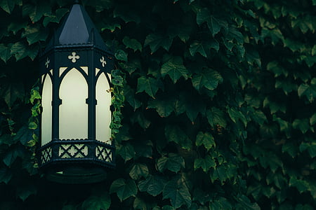turned-on black metal framed lantern thumbnail