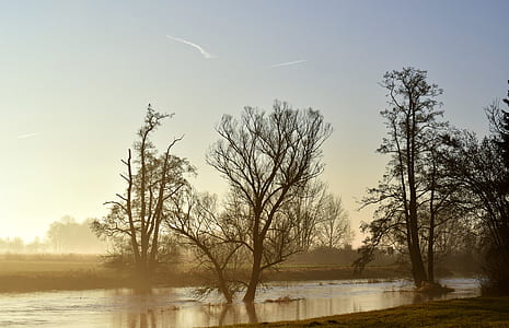 trees on body of water thumbnail