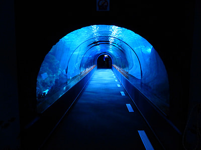 underwater tunnel thumbnail