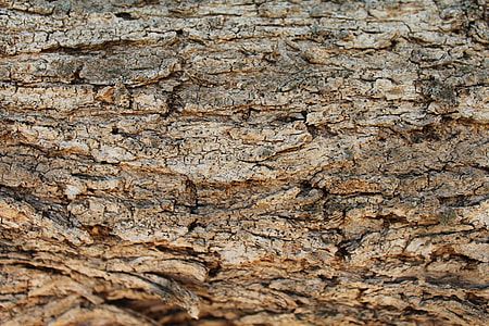 brown wooden surface thumbnail