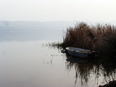 photo of white and brown boat near grass thumbnail