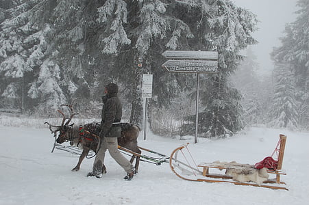 person walking beside deer carrying snow sled thumbnail