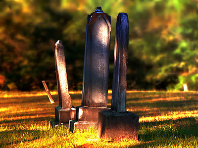 three black and brown posts on green grass thumbnail