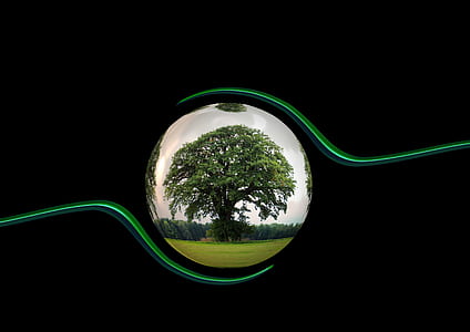 green leafed tree illustration thumbnail