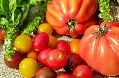 cherry tomatoes thumbnail