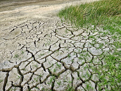 green grass thumbnail