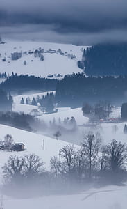 snow covered tree under cloud thumbnail