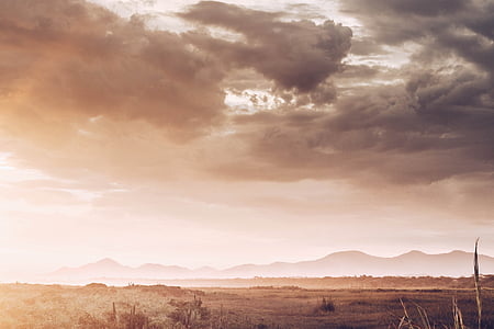 landscape photo of grass field under nimbus clouds background thumbnail