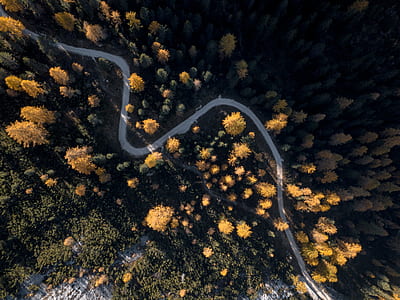 bird's eyeview of zigzag road thumbnail