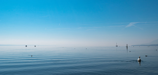 calm body of water thumbnail