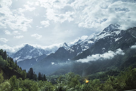 forest in distant of snow capped mountain thumbnail