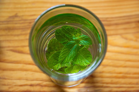clear drinking glass with green leaf inside thumbnail