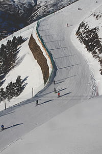 people snow skiing near trees during daytime thumbnail
