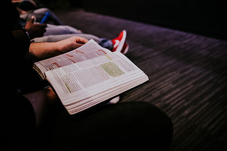 person holding open book thumbnail