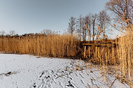 In middle of frozen lake thumbnail