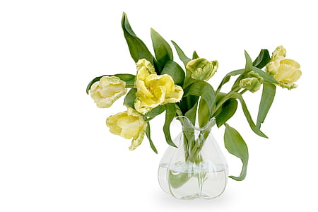 yellow tulips in clear glass vase centerpiece thumbnail