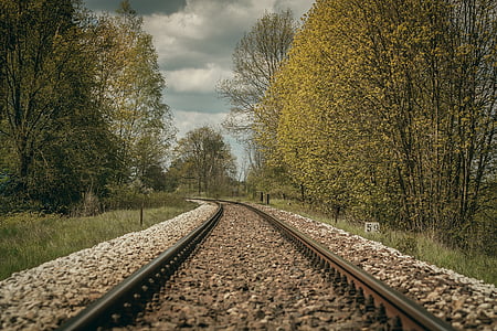train rail surrounded by green trees thumbnail