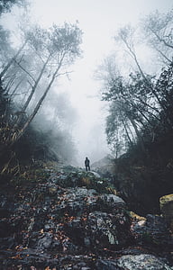 person standing on top of cliff during daytime thumbnail
