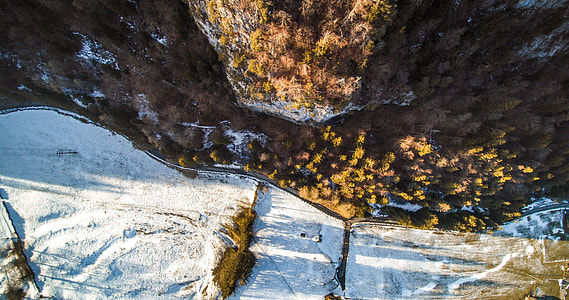 top view photo of forest at daytime thumbnail
