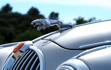 selective focus photo of gray Jaguar vehicle emblem thumbnail