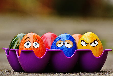 six assorted-color eggs in purple egg tray thumbnail