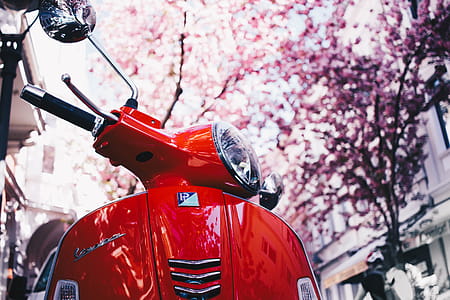 Selective Focus Photography of Red Motor Scooter thumbnail