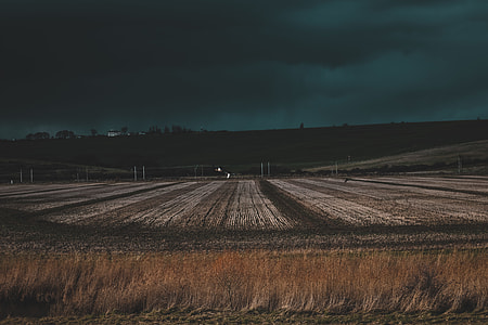 landscape photography of field thumbnail